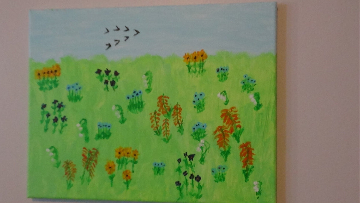 Field of Wildflowers