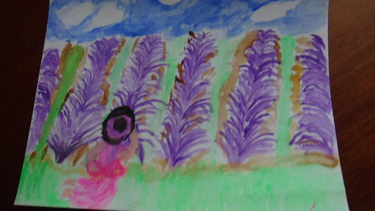 Field of Lavender