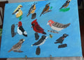 Bird Lover's Dream
