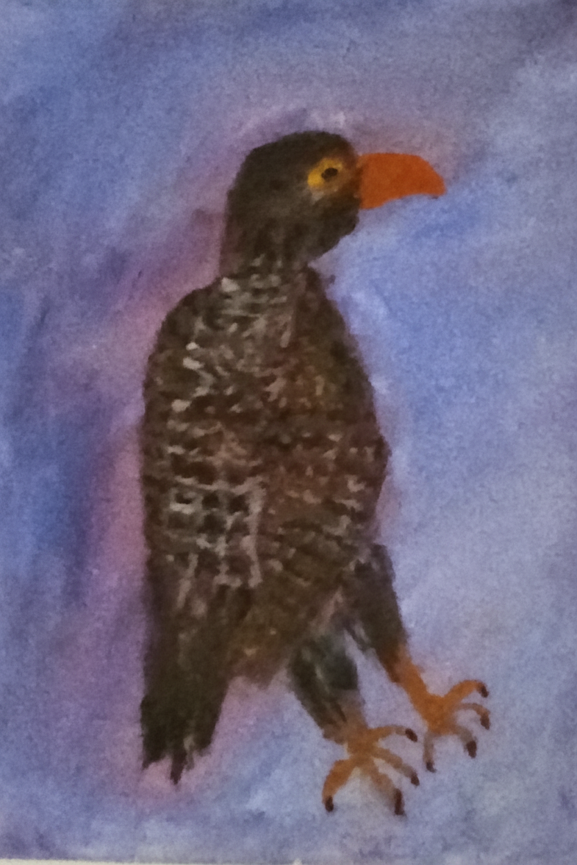 Falcon